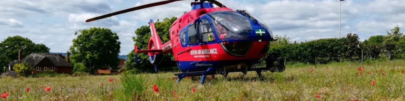 Aircraft in poppy field