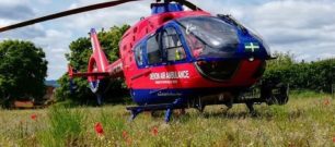 Aircraft in poppy field