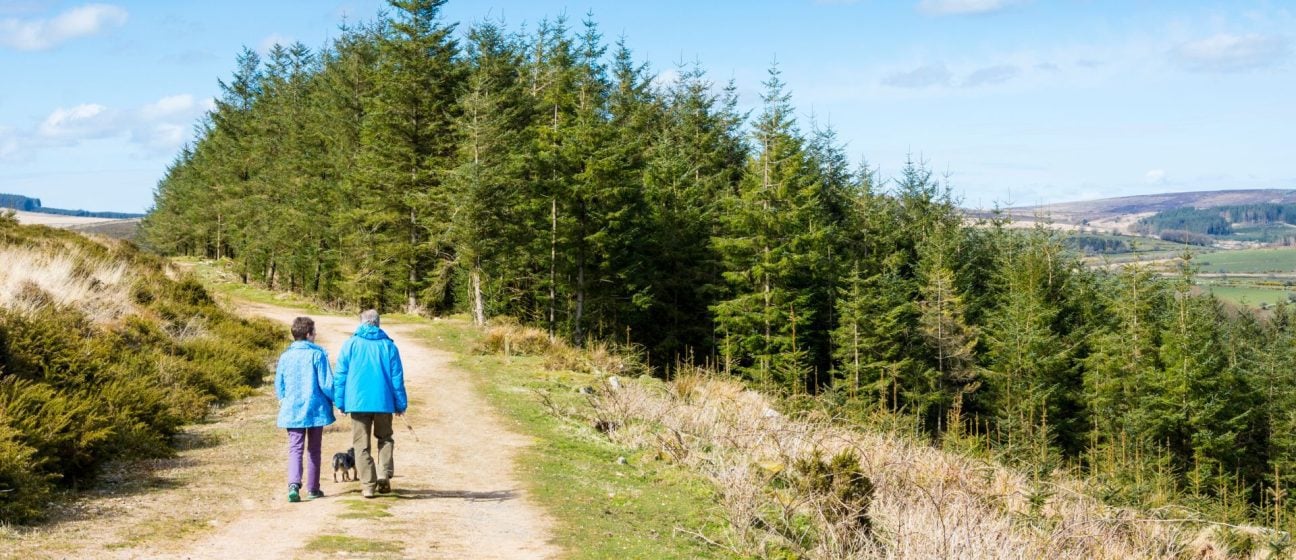 Walkers on Dartmoor